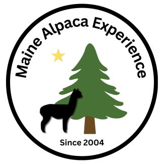 Maine Alpaca Experience
